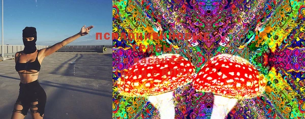 прущие крисы Армянск