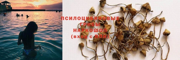 прущие крисы Армянск