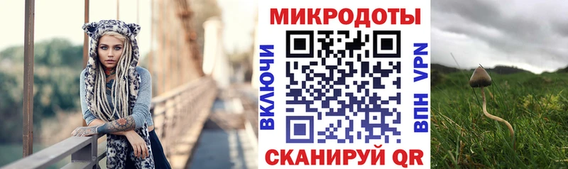 Галлюциногенные грибы Psilocybine cubensis  KRAKEN ССЫЛКА  Полярный 